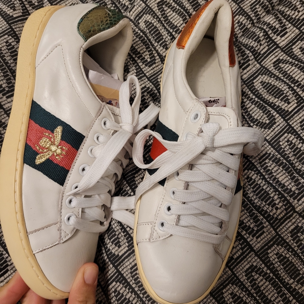 Gucci sneaker